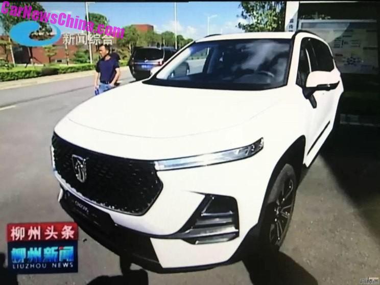 خودروی جدیدی چینی کپی سانتافه