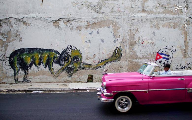 51525 جولان خودروهای کلاسیک و قدیمی در کوبا