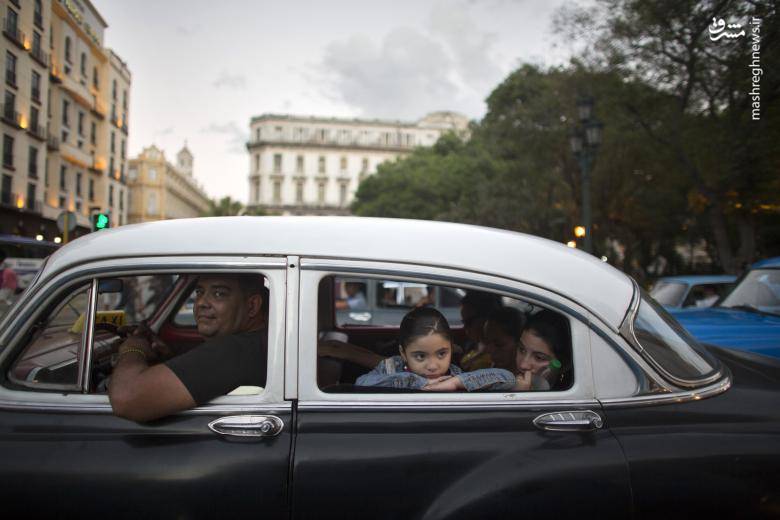 51528 جولان خودروهای کلاسیک و قدیمی در کوبا