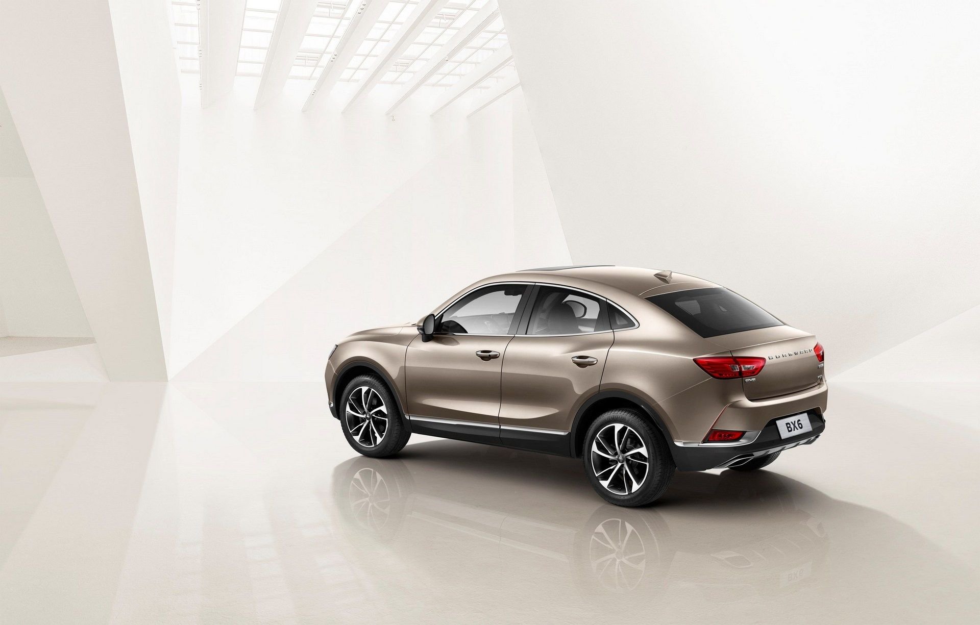 بورگوارد BX6