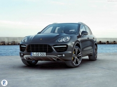 cayenne-s