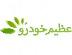 آغاز فروش اقساطی انواع خودروهای وارداتی