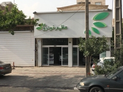 مروری بر وضعیت پیش فروش فوتون ساونا
