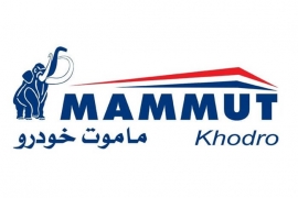 دریافت ارز 4200 تومانی توسط وارد کنندگان خودرو  برای واردات چای ساز