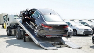 روایتهایی از آزادسازی واردات در سال ۱۴۰۰